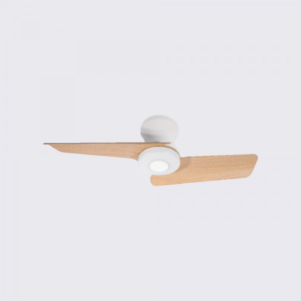 MUSSA Ventilador de Aspas Motor DC