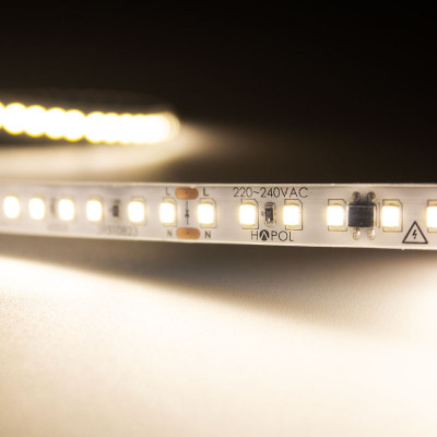 Tira LED RIBA SMD IP65