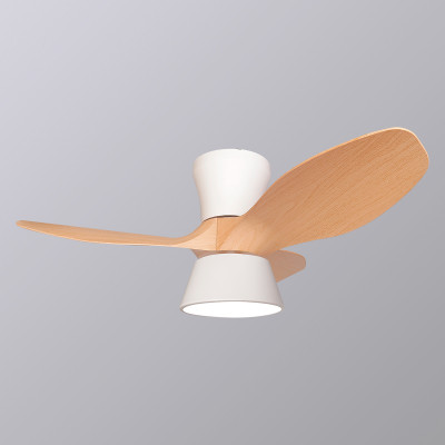 ASTRO | Ventilador aspas