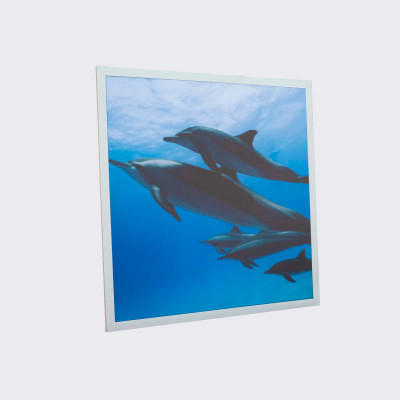 Panel Delfines