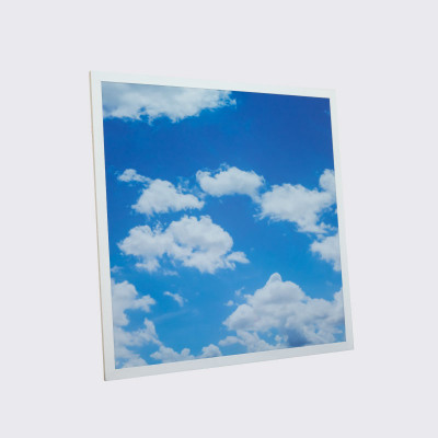 Panel Cielo