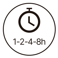 ico-2-4h.png